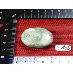 Variscite Utah USA en galet plat 21g