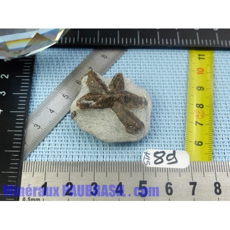 Staurotide Staurolite Croix des fées 22gr Russie