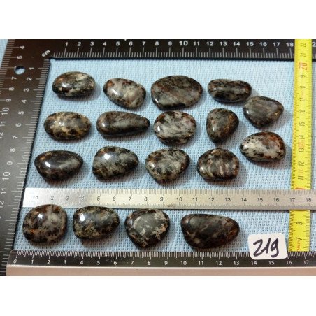 Astrophyllite véritable et rare Galet Plat à l unité de 9 à | Minéraux Paubrasil