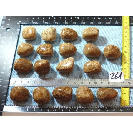 Aragonite Zonée Pierre Roulée à l unité de 17 à 19 gr | Minéraux Paubrasil