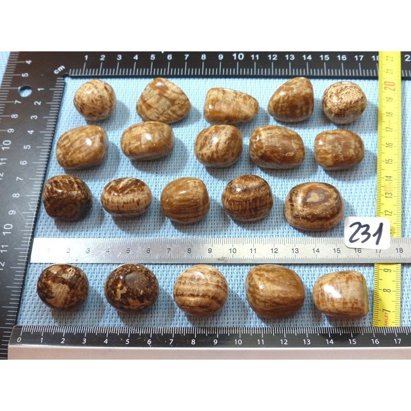 Aragonite Zonée Pierre Roulée à l unité de 15 à 18 gr | Minéraux Paubrasil