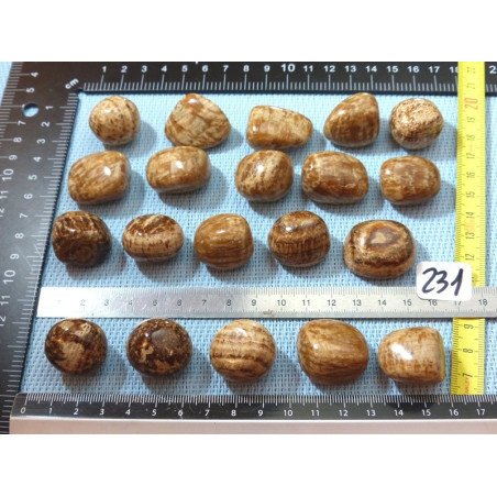 Aragonite Zonée Pierre Roulée à l unité de 15 à 18 gr | Minéraux Paubrasil