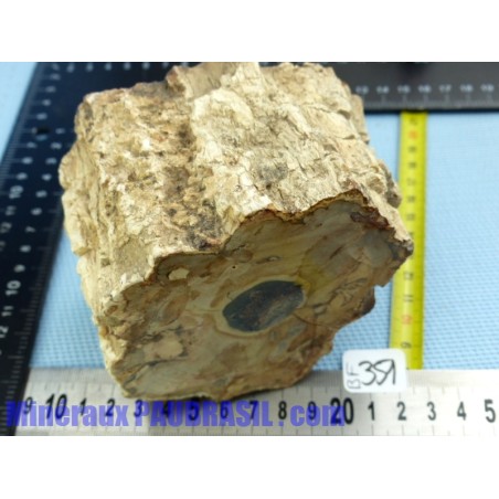 Bois Fossile en tronc deux faces polies 986gr Madagascar