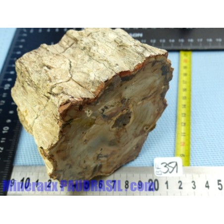 Bois Fossile en tronc deux faces polies 986gr Madagascar