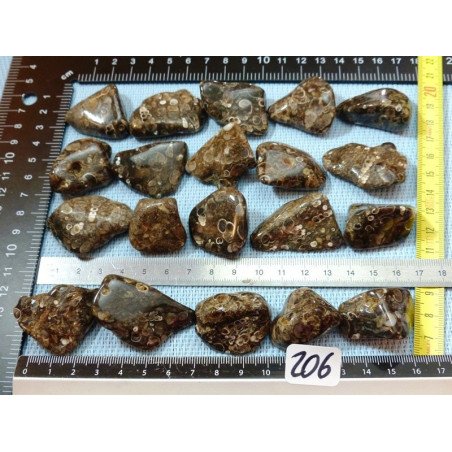 Agate Turitelle Pierre Roulée à l unité de 15 à 18 gr | Minéraux Paubrasil