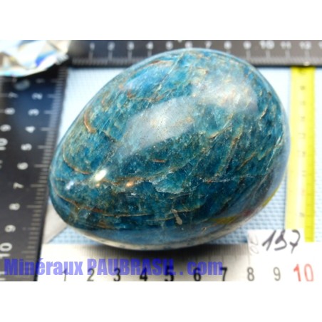 Oeuf Apatite bleue Madagascar Q Extra 653gr 69mm diamètre 88mm long