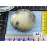 Opale à Dendrites en galet poli Q Extra 89gr50
