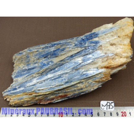 Kyanite - Cyanite - Disthène bleu 2514g pièce exceptionnelle