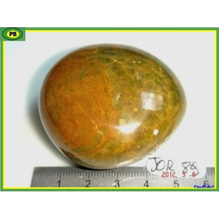 Jaspe Orbiculaire Poli de Madagascar 117g