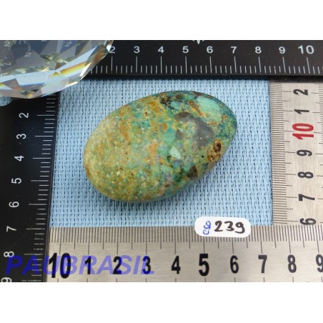 Chrysocolle en savonnette polie Q Extra 65g