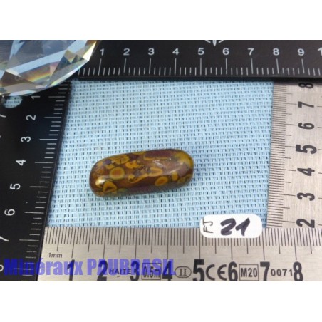 Fruit Jasper - Azubalite - Ajooba Jasper en Pierre Roulee Q Extra Extra 12g