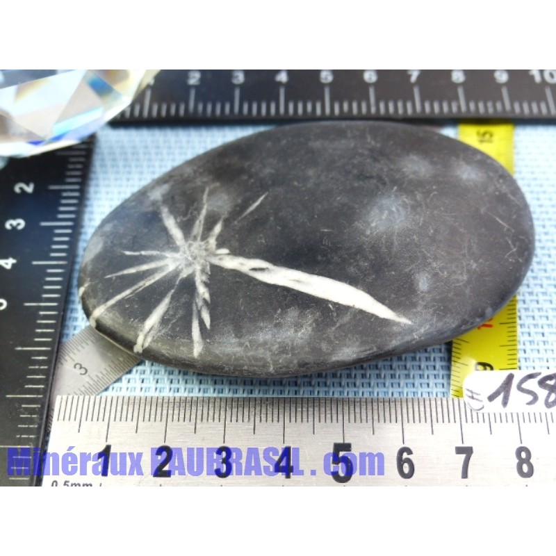 Pierre Chrysanthème Chrysanthemum stone 123gr