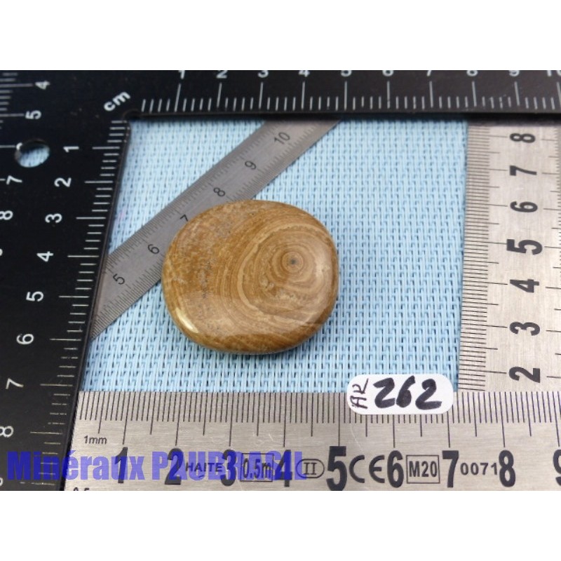 Aragonite en Galet Plat 19g
