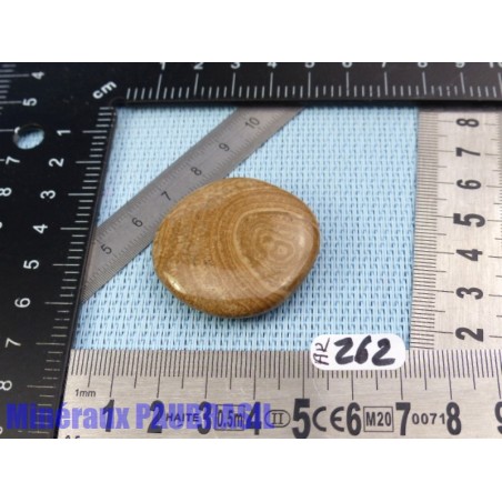 Aragonite en Galet Plat 19g