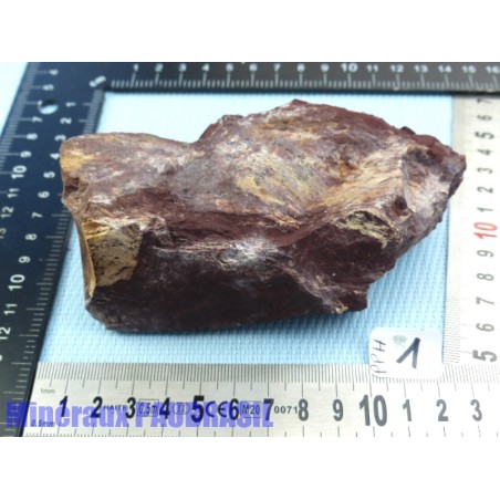 Pyrophyllite de Namibie en pierre brute 595g