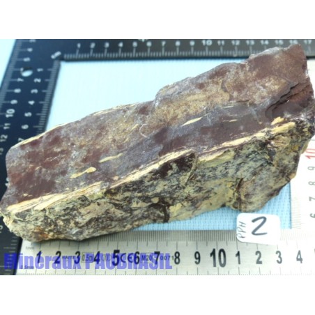 Pyrophyllite de Namibie en pierre brute 913g