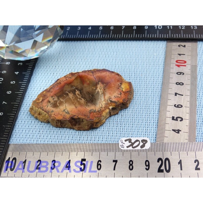 Bois fossilisé en tranche polie Q Extra 31gr Madagascar