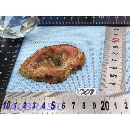 Bois fossilisé en tranche polie Q Extra 31gr Madagascar