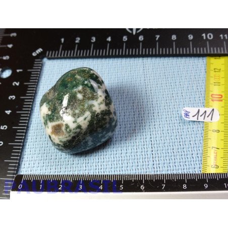 Agate arborisée - agate arbre pierre roulee Brésil 86gr
