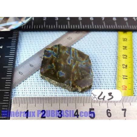 Spectrolite tranche polie de 15g Q Extra
