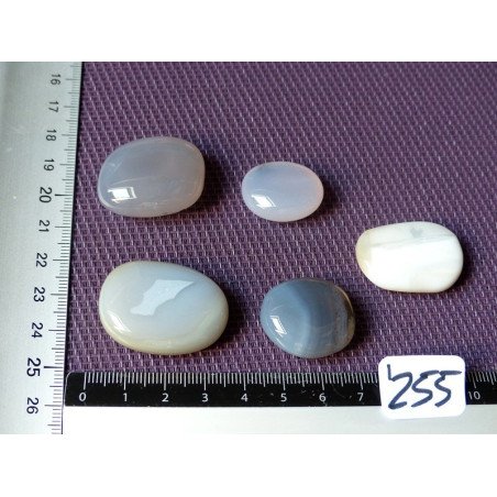 Agate Naturelle Lot de 5 Pierres Plates Mini 53g | Minéraux Paubrasil