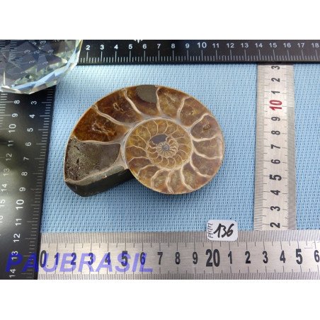 Ammonite une face Polie Q Extra 187g