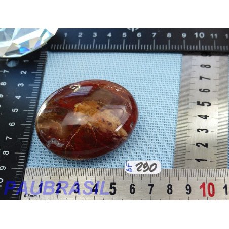 Bois fossilisé galet poli jumbo 121g Madagascar