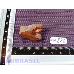 Pointe de Quartz Tangerine de 7gr guérisseur doré Brésil