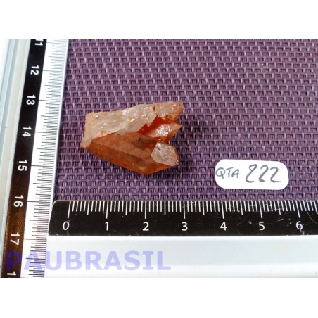 Pointe de Quartz Tangerine de 7gr guérisseur doré Brésil