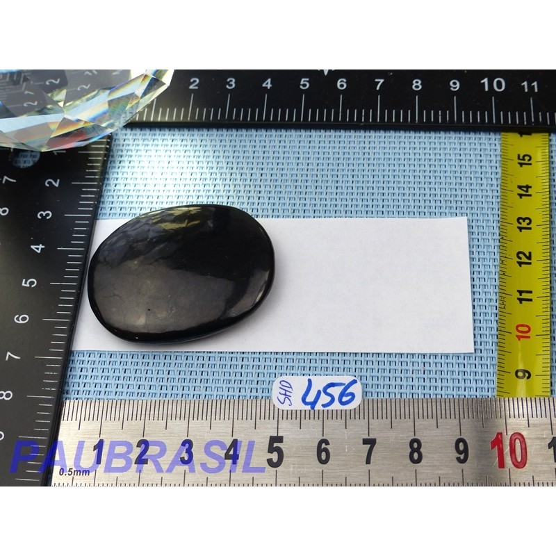 Shungite en Pierre Plate 20g