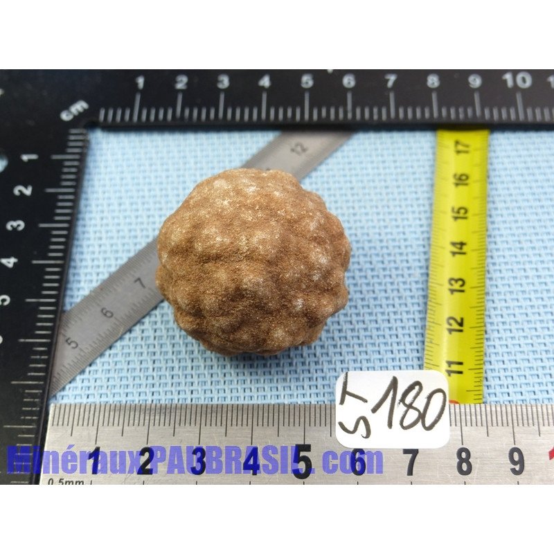 Stromatolite en pierre brute 64g Maroc