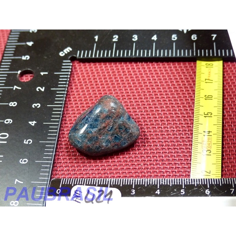 Apatite Bleue en Pierre Semi Roulée 18g