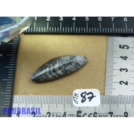 Orthoceras Poli du Maroc 7gr50