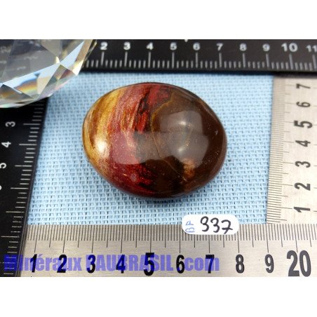 Bois fossilisé savonnette polie 92g Madagascar