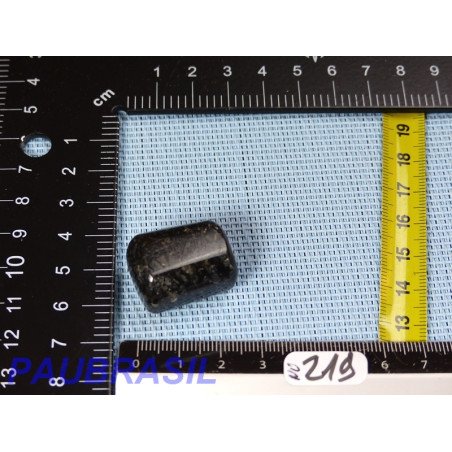 Nuummite en pierre roulée de 17g
