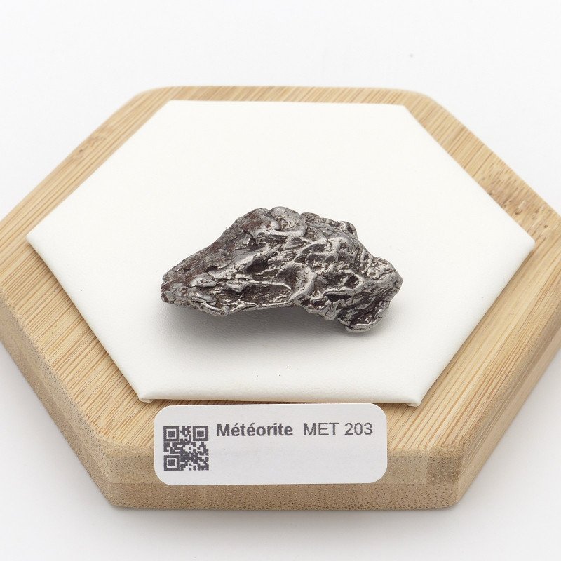 Météorite Campo del Cielo de 40g Q Extra