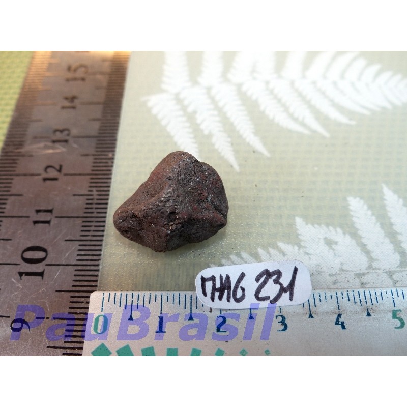 Magnétite pierre du nord de 8gr