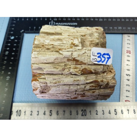 Bois Fossile en tronc deux faces polies 1788gr Madagascar