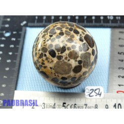 Sphère en Pudding Stone  306gr 65mm diamètre