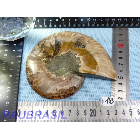 Ammonite une face Polie Q Extra 254g Ammonite une face Polie Q Extra 254g