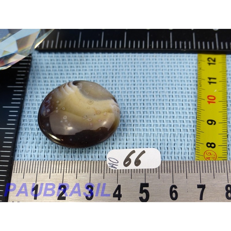 Agate Orbiculaire du Botswana en pierre aplatie Q Extra 13g