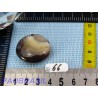 Agate Orbiculaire du Botswana en pierre aplatie Q Extra 13g