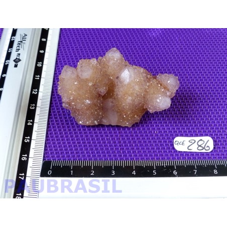 Quartz Cactus dit Esprit Q EXTRA 68g