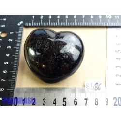 Coeur en Tourmaline Noire 172gr50