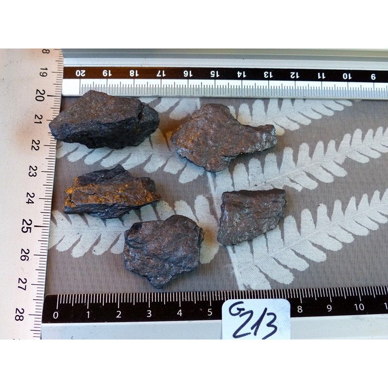 Graphite Lot de 5 Pierres Brutes 30g | Minéraux Paubrasil