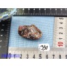 Astrophyllite Pierre Brute 22g50 Rare Q Extra