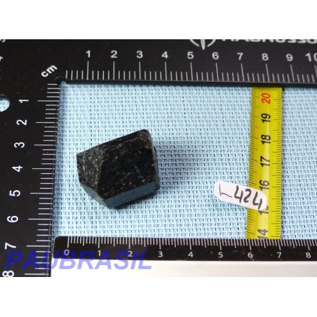 Tourmaline Noire Schorl en Morceau Brut 34g