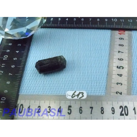 Tourmaline Noire Schorl Inde en Pierre Brute Biterminée Q Extra 14g