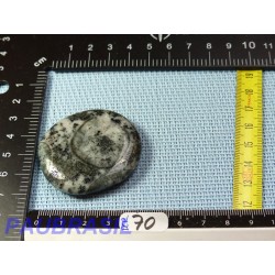 Diorite orbiculaire pierre plate de 33gr Rare