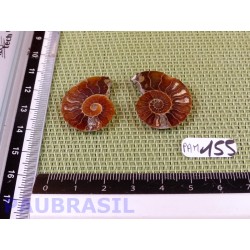 Paire d Ammonite Polie 6g